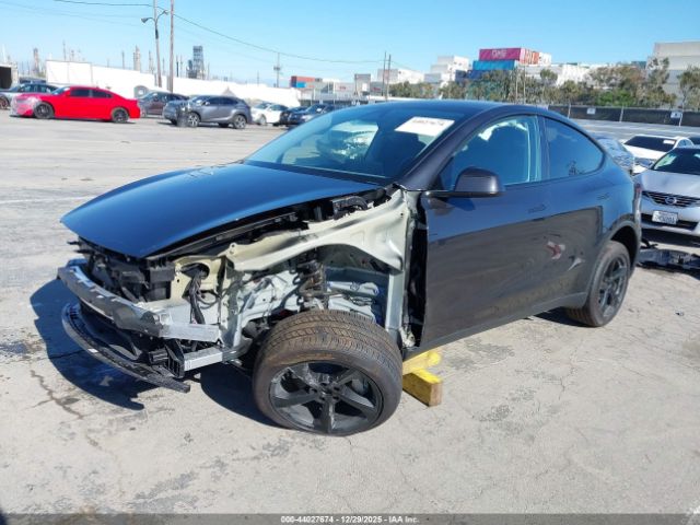 Tesla Model Y Image 2