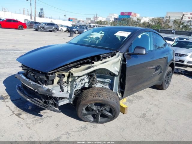 Tesla Model Y Image 5