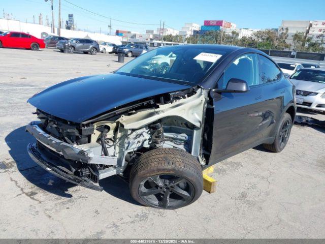 Tesla Model Y Image 5