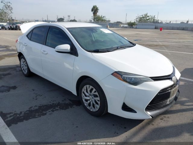 Toyota Corolla Le Image 1