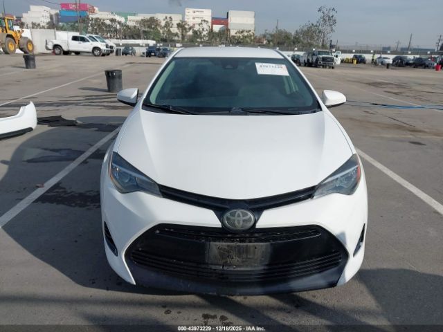 Toyota Corolla Le Image 16