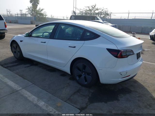 Tesla Model 3 Rear-wheel Drive Image 6