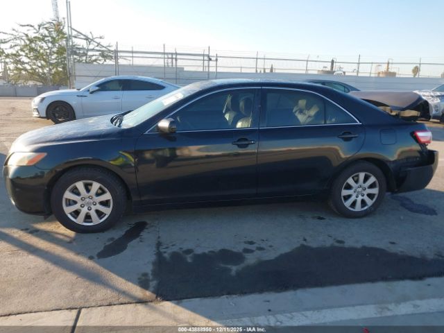 Toyota Camry Xle V6 Image 10