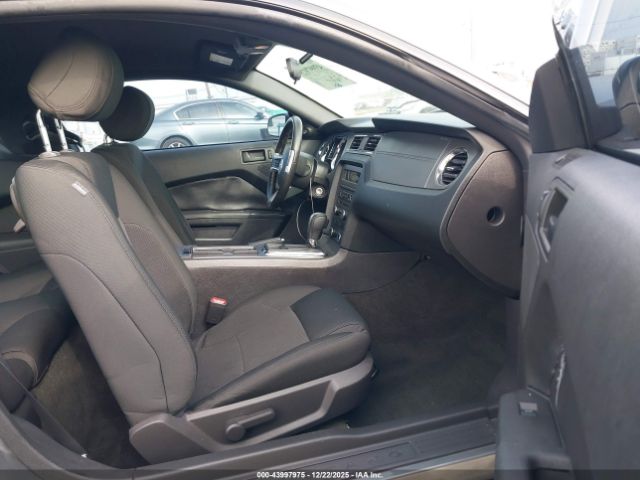 Ford Mustang V6 Image 13