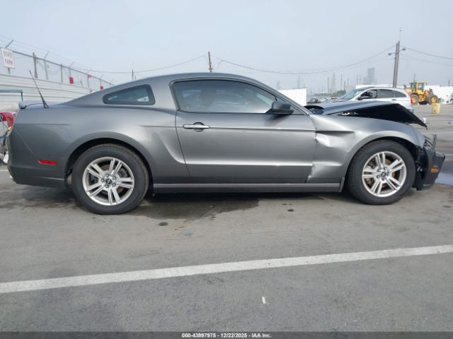 Ford Mustang V6 Image 4
