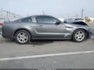 Ford Mustang V6 Image 4