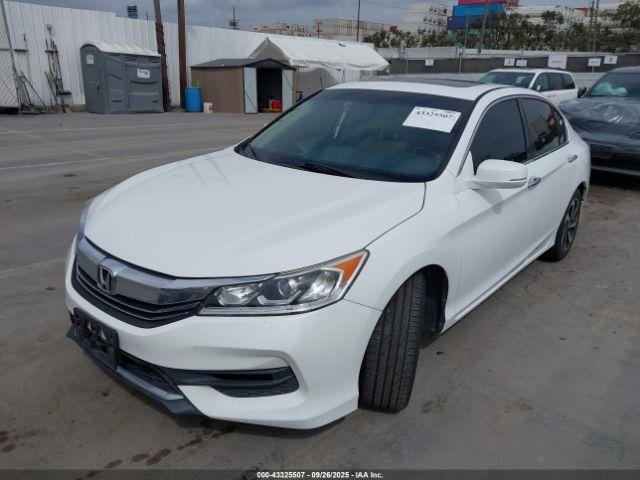 Honda Accord Ex-l Image 7