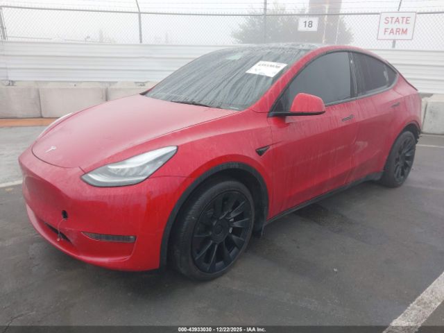 Tesla Model Y Long Range Dual Motor All-wheel Drive Image 2