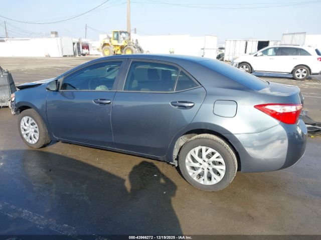 Toyota Corolla Le Image 6