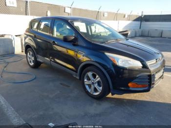  Salvage Ford Escape